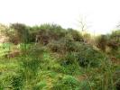 Acheter Maison Saint-flour 115500 euros