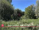 Land CANDE-SUR-BEUVRON LE-CONTROIS-EN-SOLOGNE