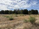 Acheter Terrain 32767 m2 Niherne