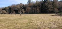 Annonce Vente 6 pi�ces Maison Montessaux