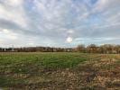 Vente Terrain Authie 14