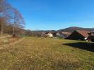 Vente Domaine forestier Giromagny  90200 1114 m2