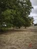 Annonce Vente 3 pi�ces Maison Ainvelle