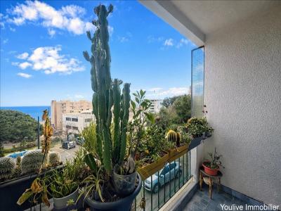 Location Appartement 3 pi�ces FURIANI 20600