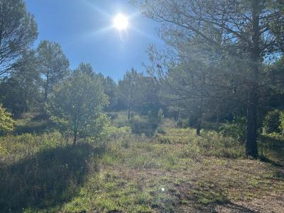 Vente Terrain TOURVES 83170