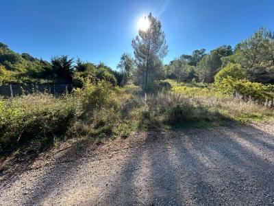 Vente Terrain TOURVES 83170