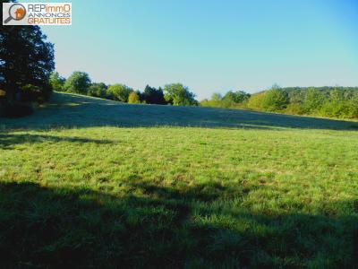 Vente Terrain COURPIERE  63
