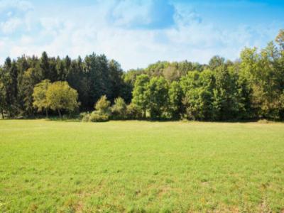 Vente Terrain STRAZEELE 59270