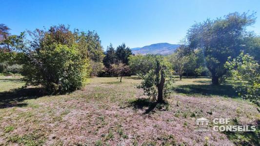 Vente Terrain VEYRE-MONTON 63960