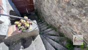 Acheter Maison Saint-paul-le-jeune 175000 euros