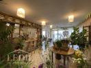Annonce Vente Commerce Vic-fezensac