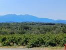 Acheter Terrain Tresserre Pyrenees orientales