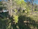 Annonce Vente Terrain Tourves