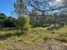 Annonce Vente Terrain Tourves