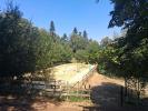 Annonce Vente 6 pièces Maison