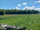 Annonce Vente Terrain Dompaire