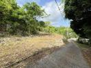Annonce Vente Terrain Gosier