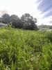 Annonce Vente Terrain Ducos