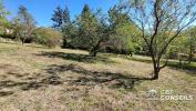 Annonce Vente Terrain Veyre-monton