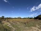 Annonce Vente Terrain 