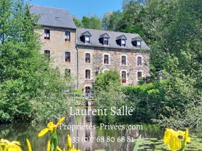 Vente Maison 16 pi�ces BOHAL 56140