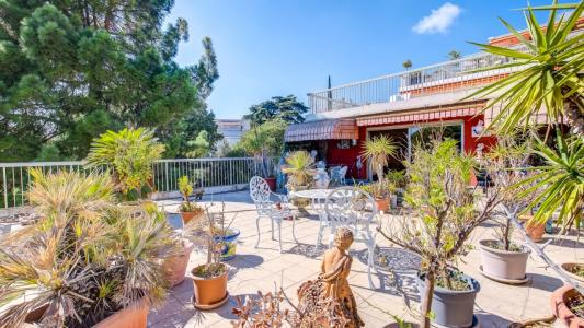 Vente Appartement 3 pi�ces NICE 06000
