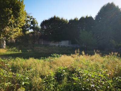 Vente Terrain FONTAINES-SAINT-MARTIN  69