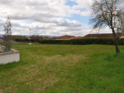 Vente Terrain MONTMERLE-SUR-SAONE VILLAGE 01