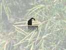 House PENNE-SUR-HUVEAUNE 