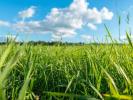 Vente Terrain Montaigut-sur-save 31