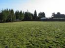 Vente Terrain Montrieux-en-sologne 41