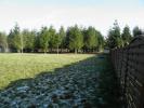 Annonce Vente Terrain Montrieux-en-sologne