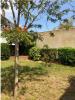 Annonce Location 3 pièces Appartement Saint-nazaire