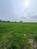 Vente Terrain Eringhem 59