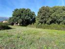 Land GHISONACCIA 
