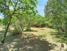 Annonce Vente 5 pi�ces Maison Regusse