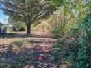 Annonce Vente Terrain Artenay