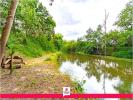 Vente Terrain Pruniers-en-sologne 41
