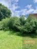 Annonce Vente 8 pi�ces Maison Chatre-langlin