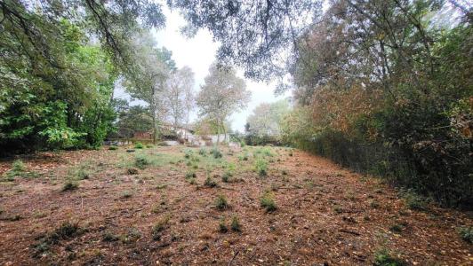 Vente Terrain PIN-BALMA 31130
