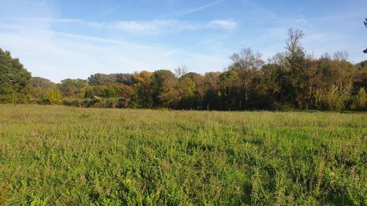 Vente Terrain ROCHEMAURE 07400