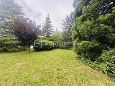 Vente Terrain SEMOY  45