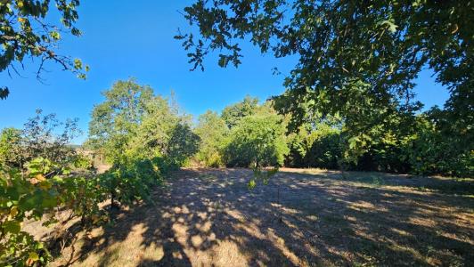 Vente Terrain MOIRAX 47310