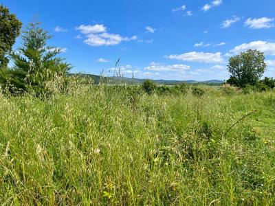 Vente Terrain PIETROSO  20