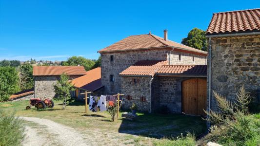 Vente Maison 10 pi�ces SAINT-DIDIER-EN-VELAY 43140