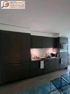 Location Appartement LILLE 59800