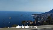 Annonce Vente 2 pi�ces Appartement Roquebrune-cap-martin