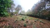 Acheter Terrain 1091 m2 Pin-balma