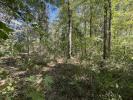 Acheter Terrain 3926 m2 Selle-sur-le-bied
