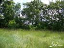 Annonce Vente Terrain Lussan